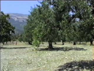 ante terremoto
